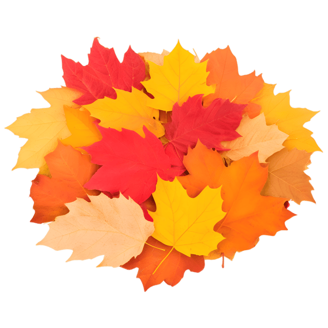 Free transparent PNG: Colorful Autumn Leaves PNG with Transparent Background for Nature Imagery