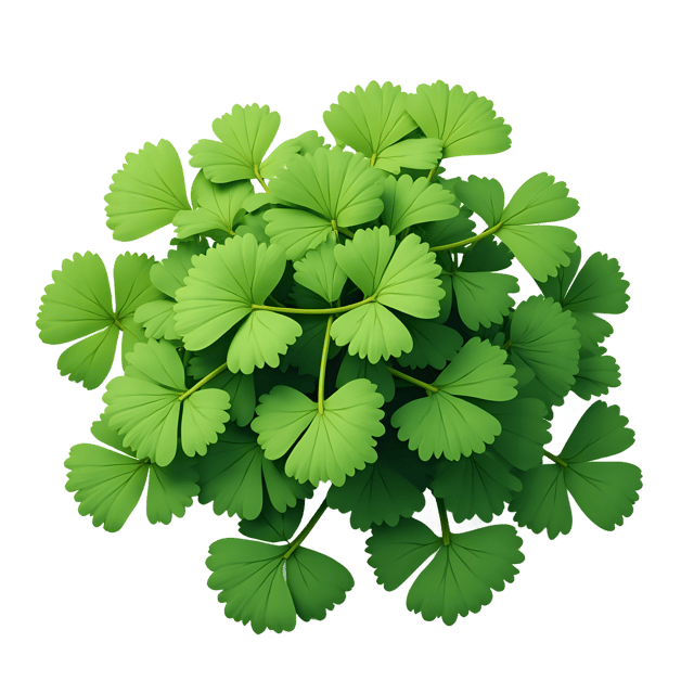 Free transparent PNG: Collard Greens PNG  Ideal for Kitchen, Recipe  Garden Imagery