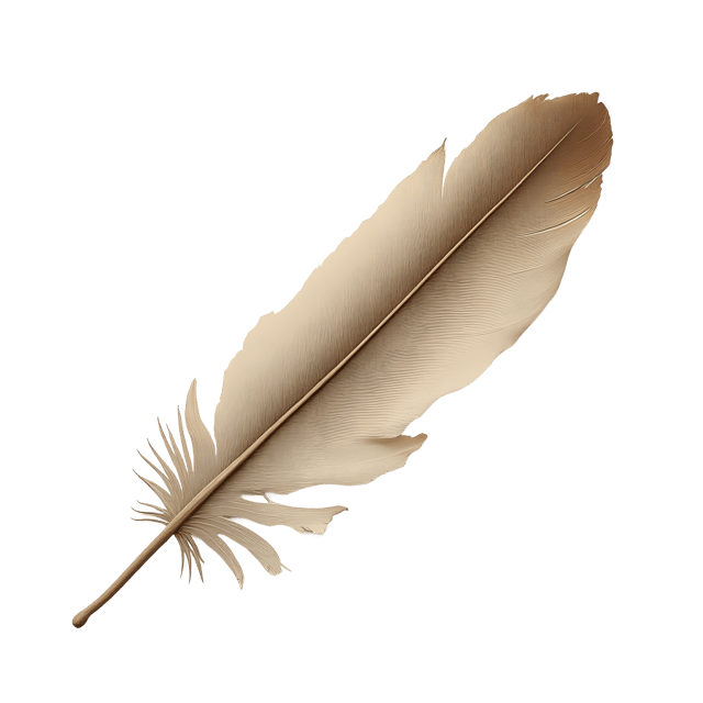 Free transparent PNG: Fluffy Down Feather  Nature Clipart, free transparent png download