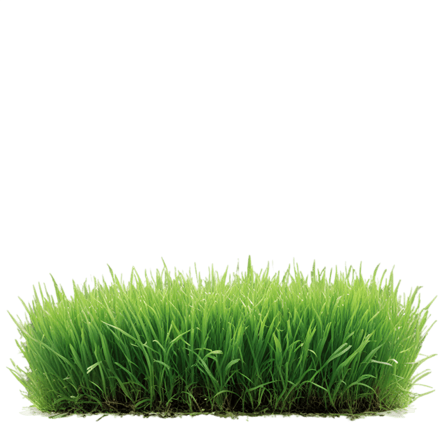 Free transparent PNG: Fresh Green Grass PNG with Transparent Background for Nature Imagery
