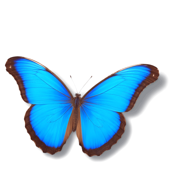 Free transparent PNG: Blue Morpho Butterfly PNG with Transparent Background for Digital Design