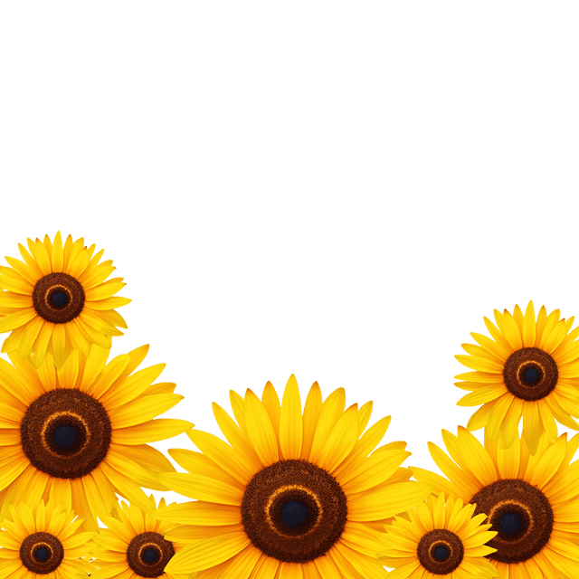 Free transparent PNG: Radiant Sunflower Illustration with Bold Yellow and Sun-like Center