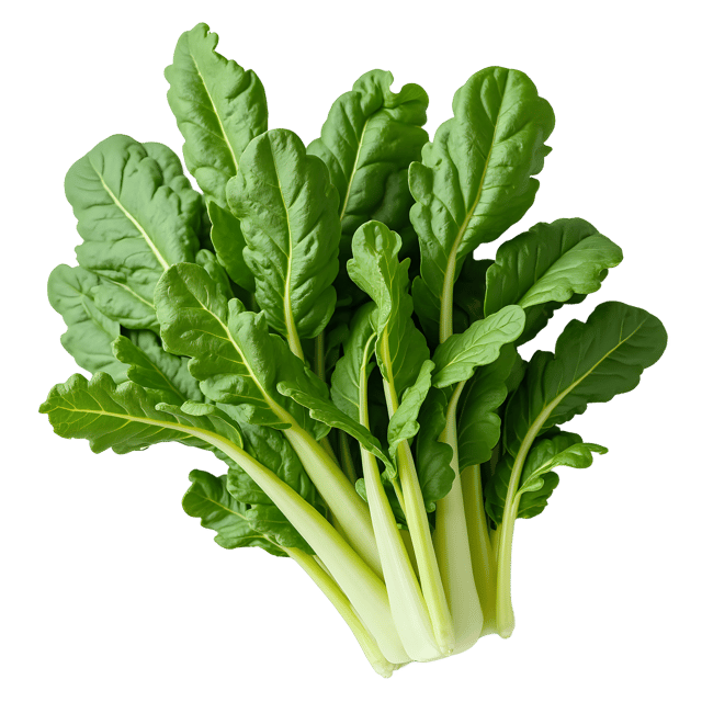 Free transparent PNG: Swiss Chard PNG Clipart  Ideal for Kitchen  Garden Themes