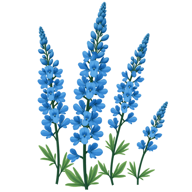 Free transparent PNG: Bright Blue Delphinium Illustration with Tall Stems and Vibrant Hues on Transparent Background