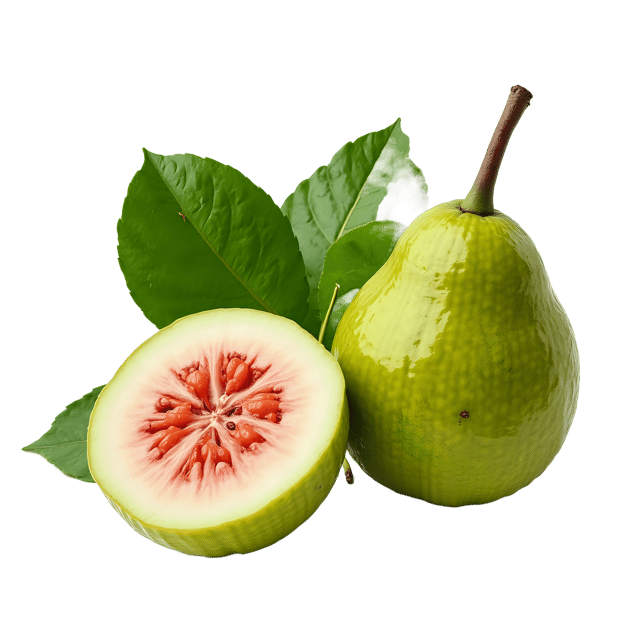 Free transparent PNG: Guava PNG Clipart  Ideal for Tropical Themes, Food Projects  Decor