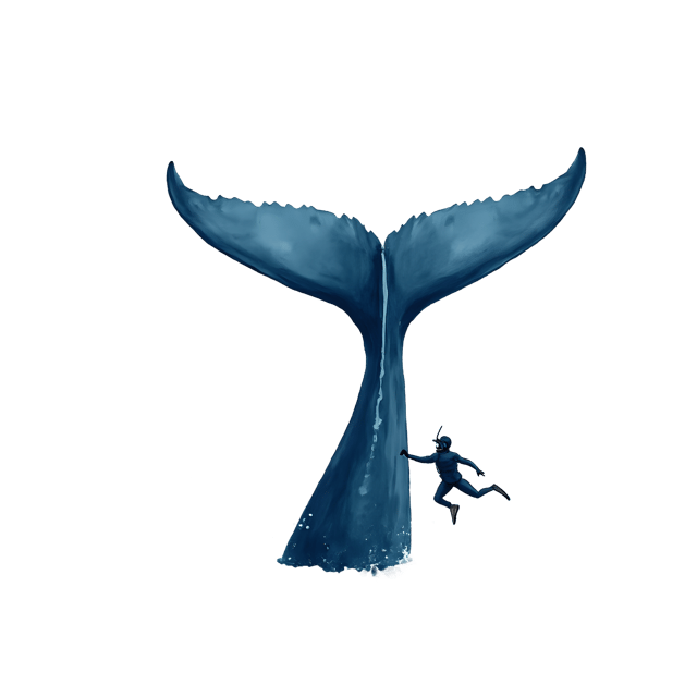 Free transparent PNG: Whale Tail  Underwater Adventure Clipart, free downloadable png