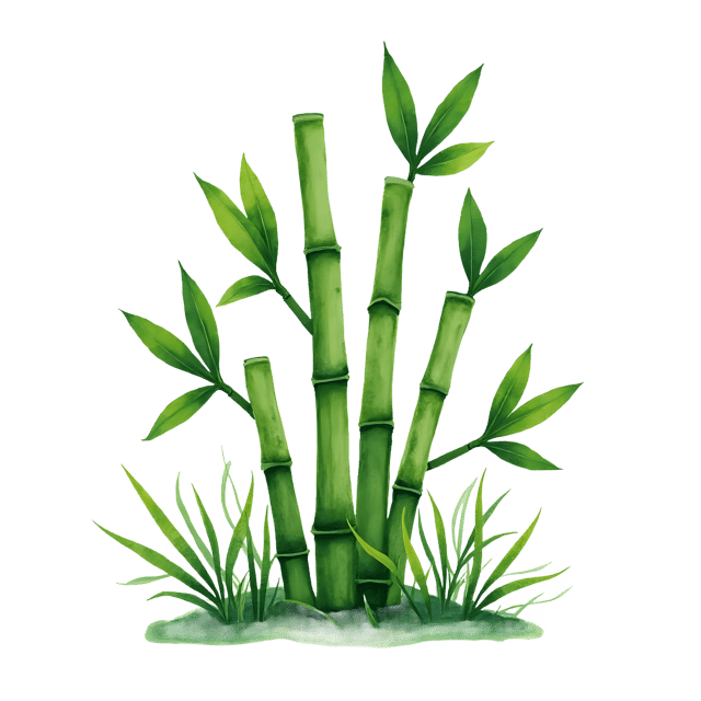 Free transparent PNG: Lucky Bamboo PNG with Transparent Background for Growth Symbolism