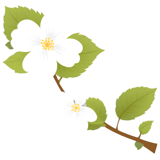 Free transparent PNG: White Flower PNG with Transparent Background for Floral Design and Decor