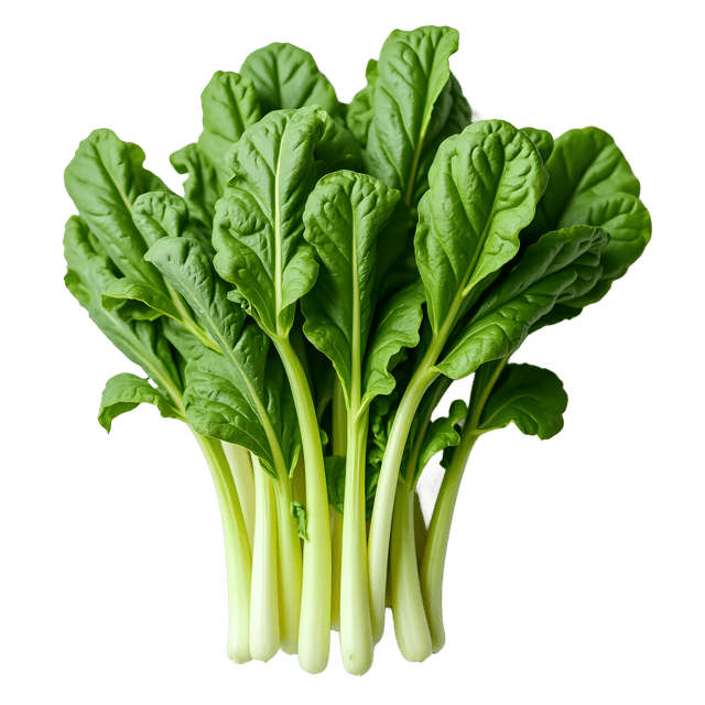 Free transparent PNG: Swiss Chard PNG  Colorful Leafy Green for Kitchen  Garden Designs