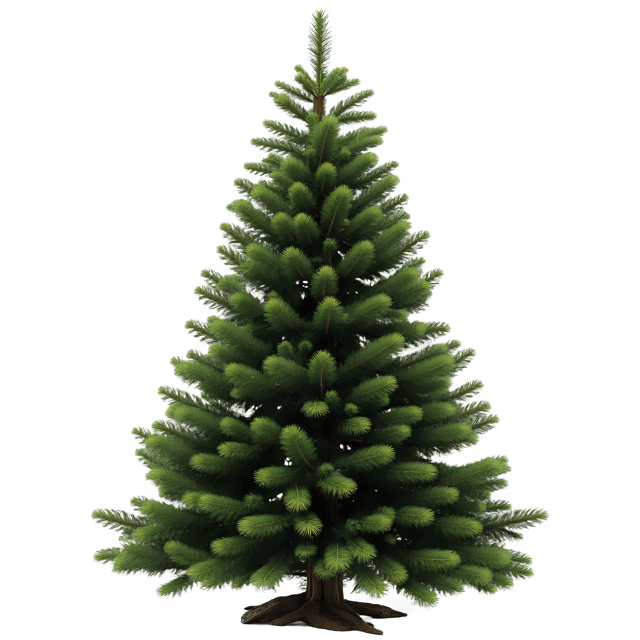 Free transparent PNG: Christmas Tree PNG Clipart  Perfect for Holiday Decorations  Crafts