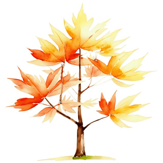 Free transparent PNG: Watercolor Maple Tree Transparent PNG – Gentle Illustration for Nursery Decor & Artistic Projects