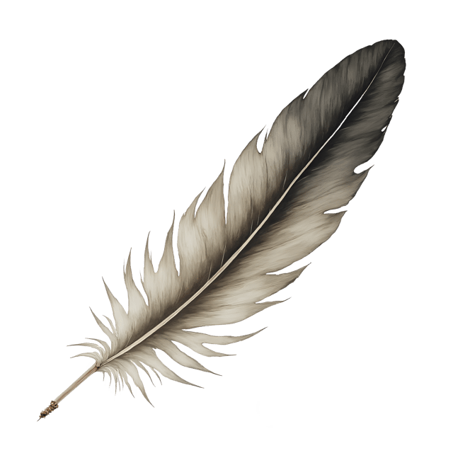 Free transparent PNG: Curved Flight Feather and Tiny Shell  Nature Clipart, free transparent png download