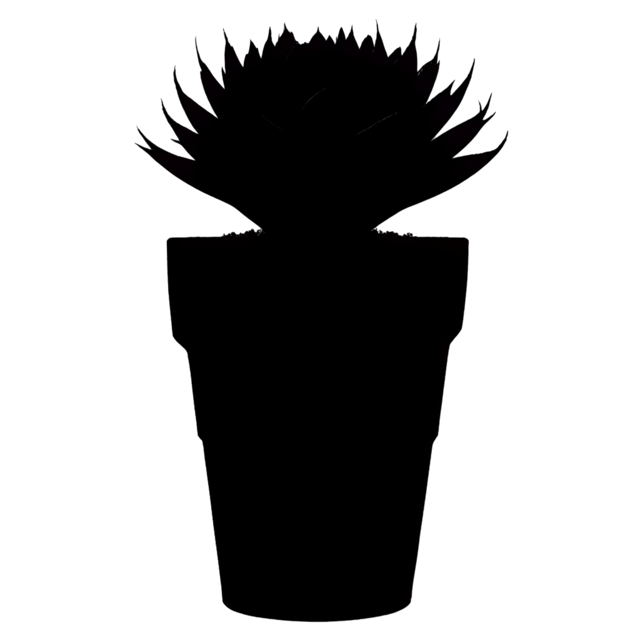 Free transparent PNG: Ariocarpus Cactus Transparent PNG for Botanical and Artistic Use