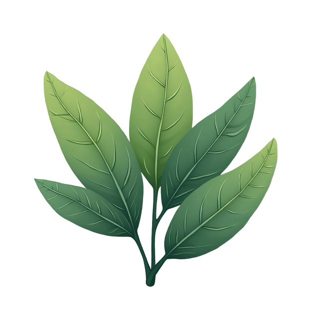 Free transparent PNG: Sage Leaf Cluster  Herbal Clipart, free png download