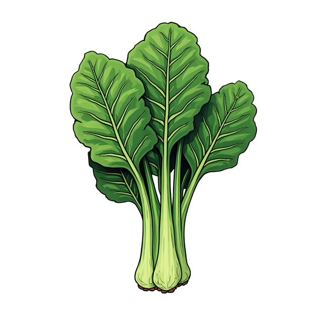 Free transparent PNG: Swiss Chard PNG Clipart  Perfect for Healthy Eating  Kitchen Design