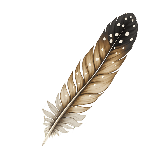Free transparent PNG: Speckled Wing Feather  Nature Clipart, free transparent png download