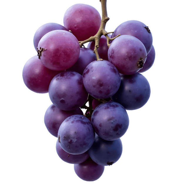Free transparent PNG: Deep Purple Grapes Cluster Illustration with Glistening Surfaces for Clipart and Decorative Uses