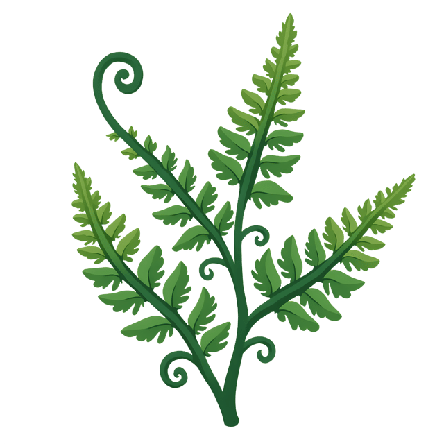 Free transparent PNG: Fern Cameo with Curling Tendrils  Nature Clipart, free transparent png download
