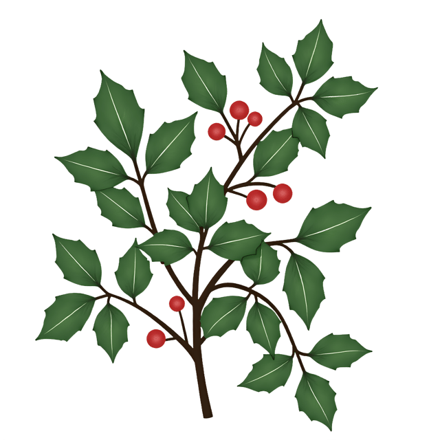 Free transparent PNG: Mistletoe PNG Clipart  Perfect for Holiday Decorations  Crafts