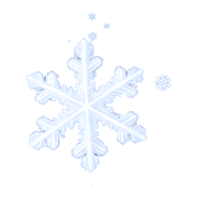 Free transparent PNG: Delicate White Snowflake PNG with Transparent Background for Artistic and Decorative Use