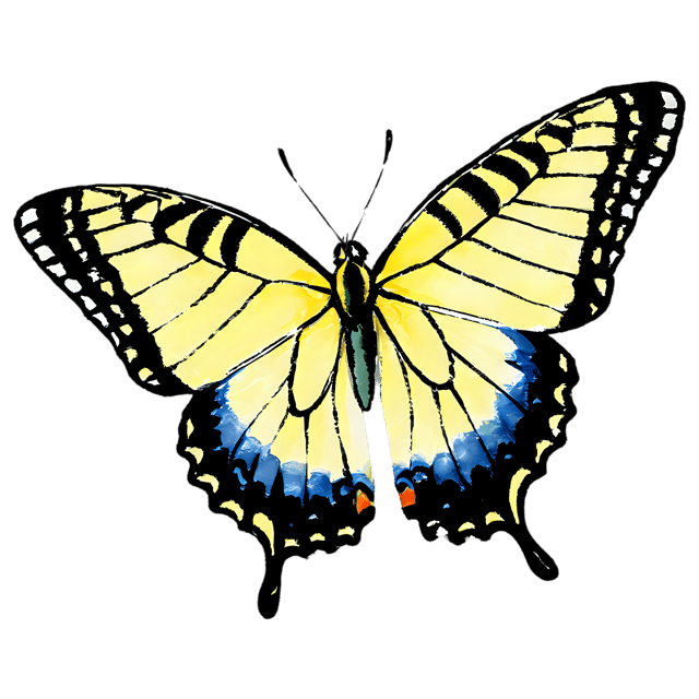 Free transparent PNG: Transparent Swallowtail Butterfly Watercolor Illustration - Gentle PNG Clipart for Designers & Creators