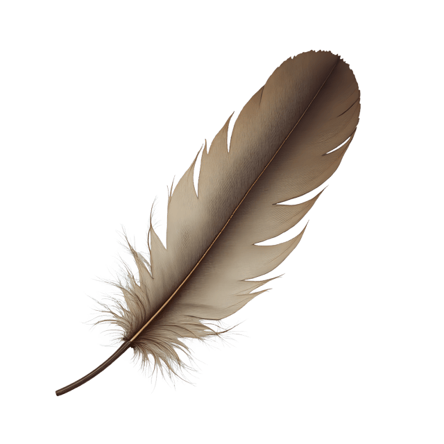 Free transparent PNG: Tattered Feather Piece  Free PNG Download for Art Projects