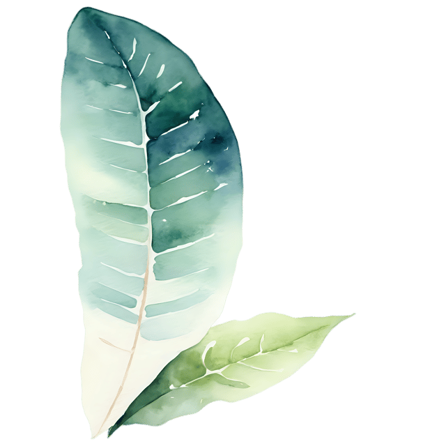 Free transparent PNG: Gentle Watercolor Texture PNG - Abstract Flower Illustration for Artists & Designers