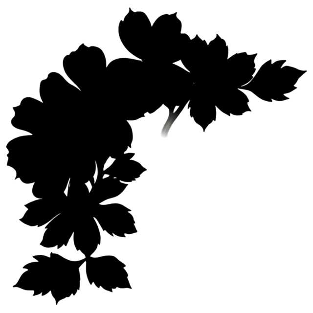 Free transparent PNG: Floral Wall Art PNG with Transparent Background for Creative Design