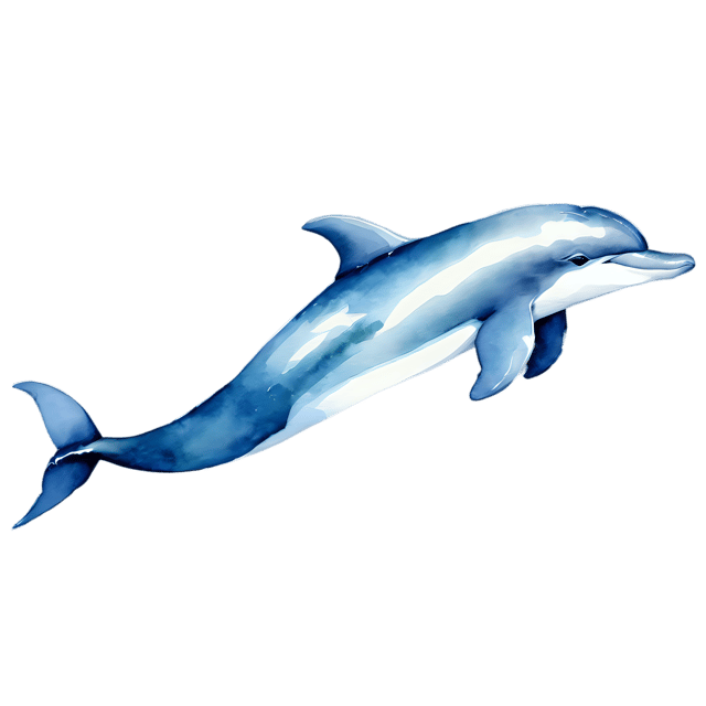 Free transparent PNG: Watercolor Dolphin PNG – Transparent and Gentle Illustration for Artistic Projects