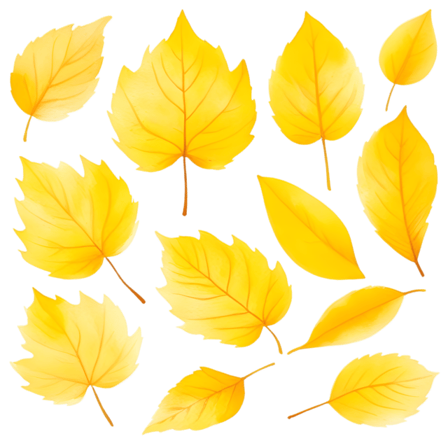 Free transparent PNG: Golden Leaves Transparent Background PNG for Decorative Design and Crafts