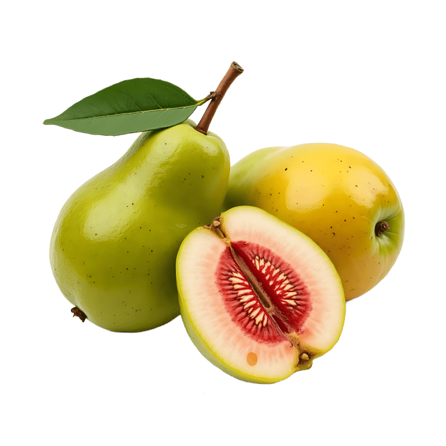 Free transparent PNG: Guava PNG Clipart  Ideal for Tropical Design  Healthy Recipes