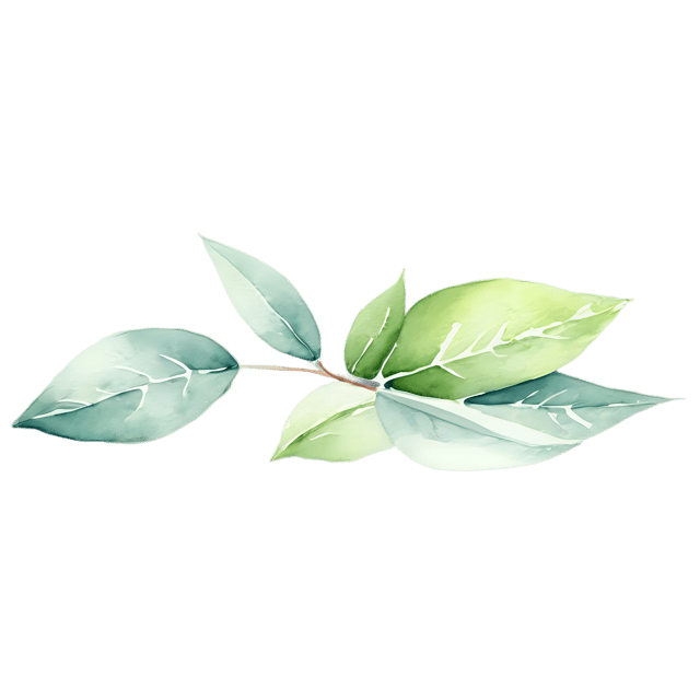 Free transparent PNG: Watercolor Garden Bloom Ornament PNG – Transparent Background Illustration