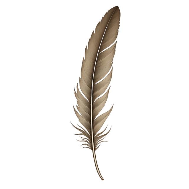 Free transparent PNG: Long Quill Feather  Elegant Curly Feather Clipart, free download png