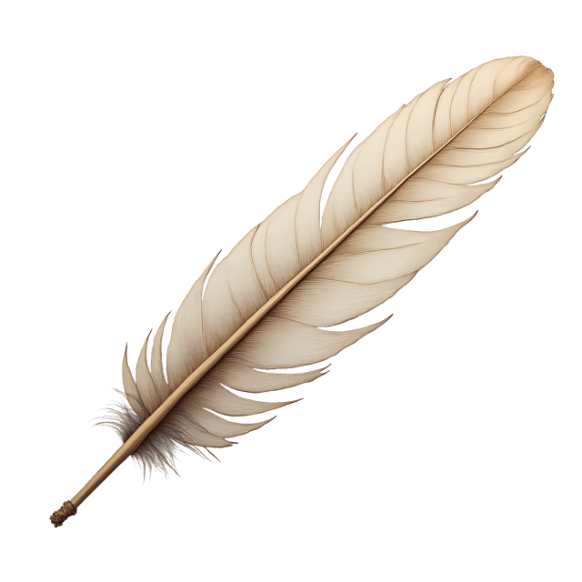 Free transparent PNG: Long Quill Feather Beside Scroll  Classic Clipart Design, free png download available