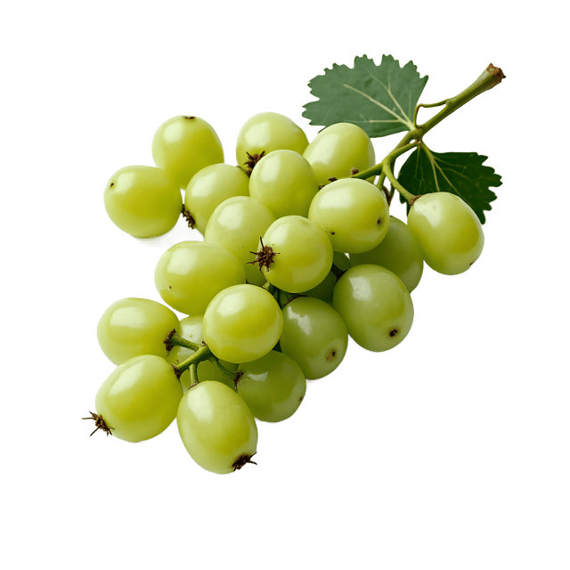 Free transparent PNG: Currant PNG Clipart  Perfect for Nature Themes and Design Projects