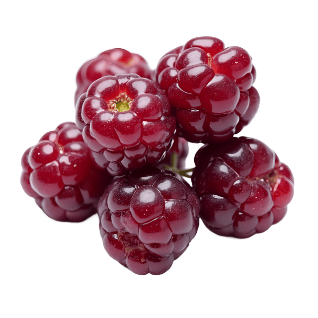 Free transparent PNG: Boysenberry PNG Clipart  Perfect for Desserts  Healthy Eating Themes