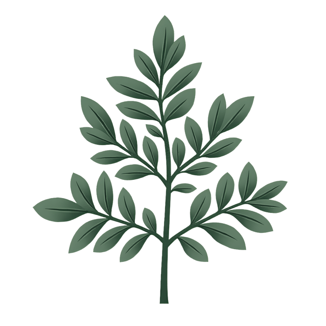 Free transparent PNG: Sage Tree PNG with Transparent Background for Earthy Decor and Crafts