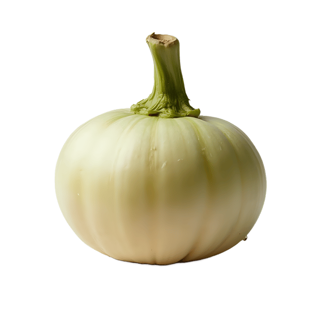 Free transparent PNG: Turnip PNG Clipart  Perfect for Vegetable Designs  Educational Materials