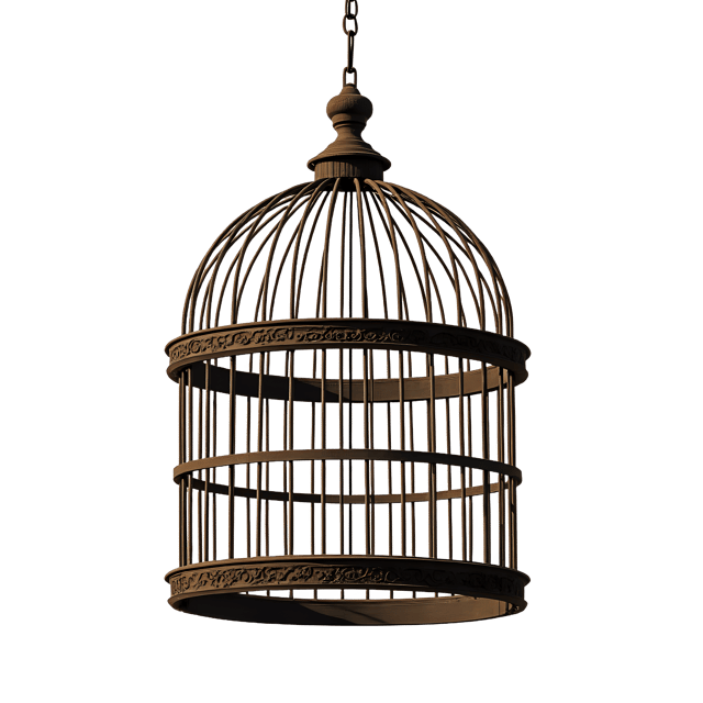 Free transparent PNG: Victorian Bustle Cage PNG Clipart  Elegant Fashion Accessory for Historical Designs