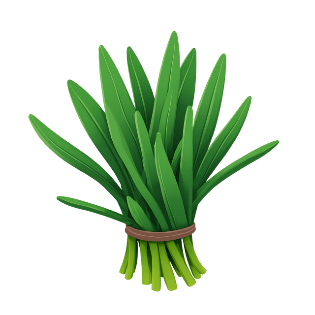 Free transparent PNG: Fresh Chives Bunch  Herb Clipart, free downloadable png