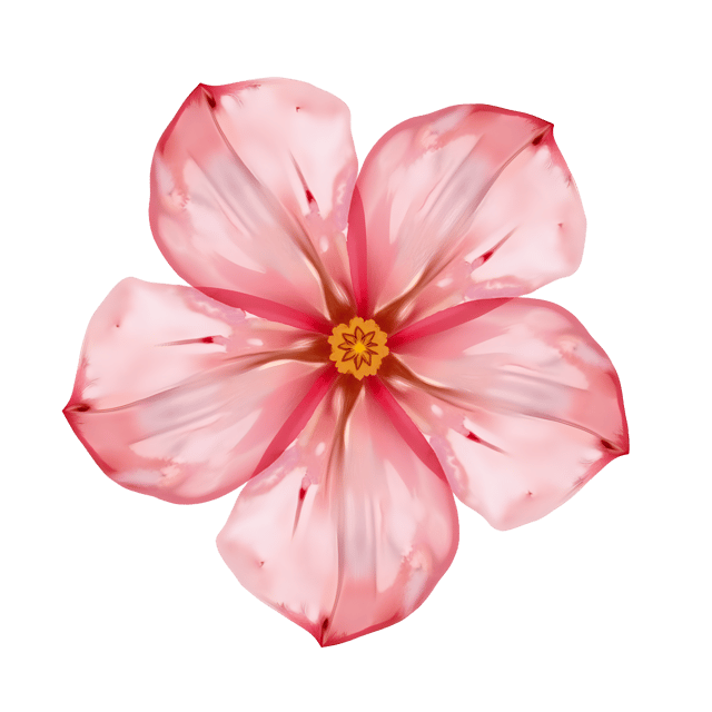 Free transparent PNG: Painted Watercolor Petals  Free Downloadable PNG Clipart