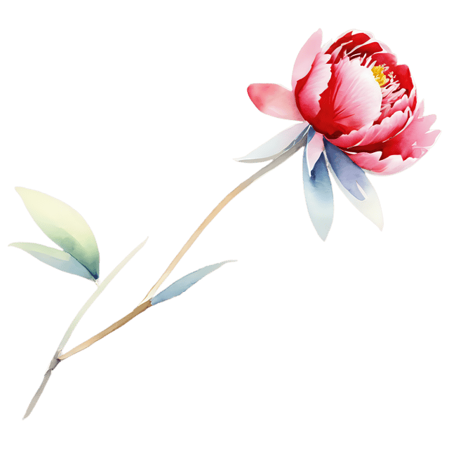Free transparent PNG: Watercolor Peony Cluster Transparent PNG – Gentle Flower Design Element