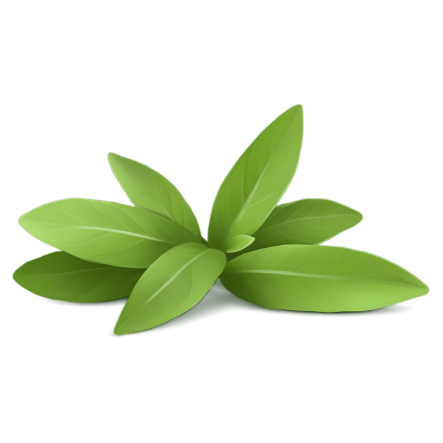 Free transparent PNG: Sage Herb PNG with Transparent Background for Botanical Design and Clipart