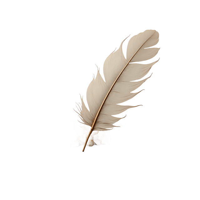 Free transparent PNG: Ruffled Feather Edge on Wooden Shelf  Nature Inspired Decor Clipart, free download png
