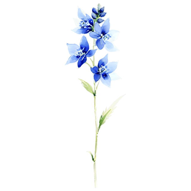 Free transparent PNG: Delphinium Watercolor PNG – Transparent Background Flower Illustration