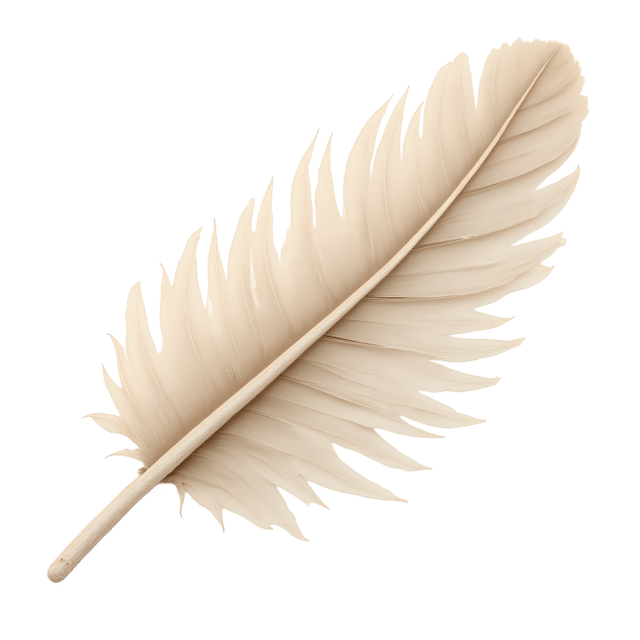 Free transparent PNG: Fluffy Down Feather  Soft Glow Clipart, free downloadable png
