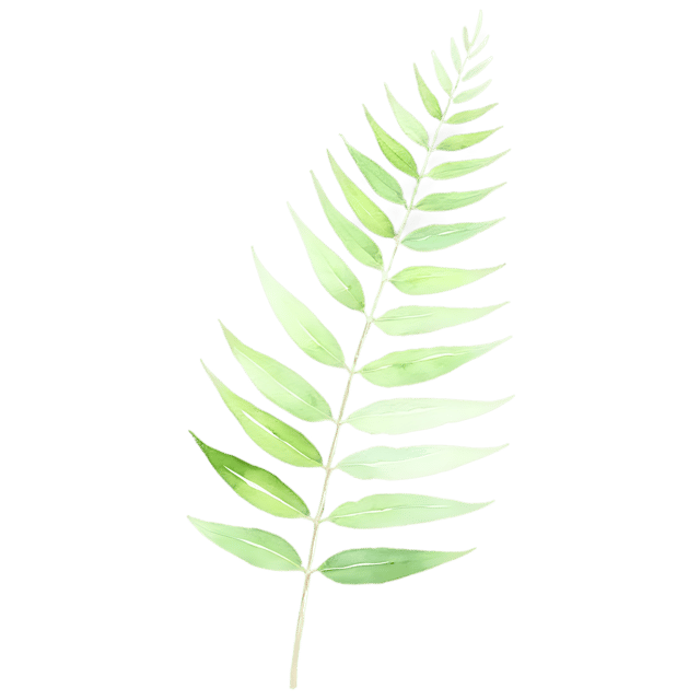 Free transparent PNG: Transparent Fern Leaf Watercolor Illustration - Gentle Clipart for Nature Themed Designs