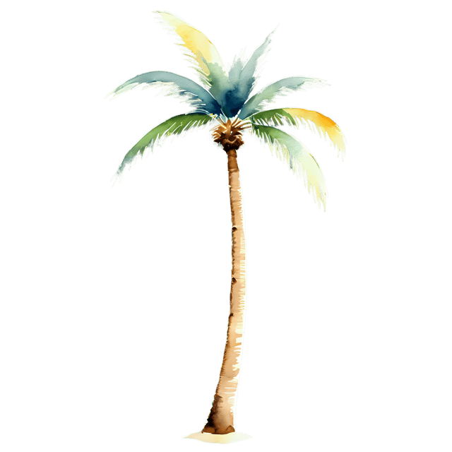 Free transparent PNG: Watercolor Palm Tree PNG – Transparent Background Tropical Illustration