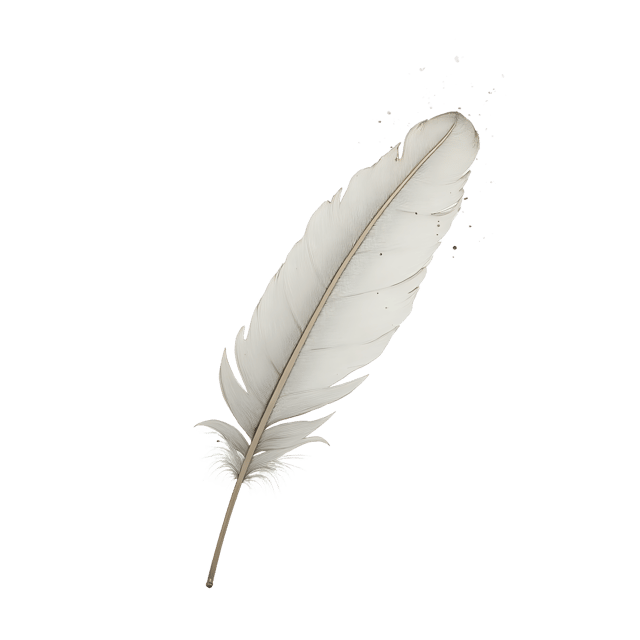 Free transparent PNG: Soft White Feather with Powdery Tips  Elegant Clipart, Free Downloadable PNG
