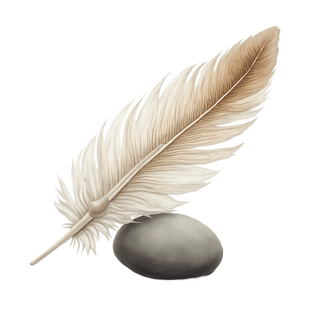 Free transparent PNG: Fluffy Down Feather on Smooth Pebble  Nature Clipart, free transparent png download